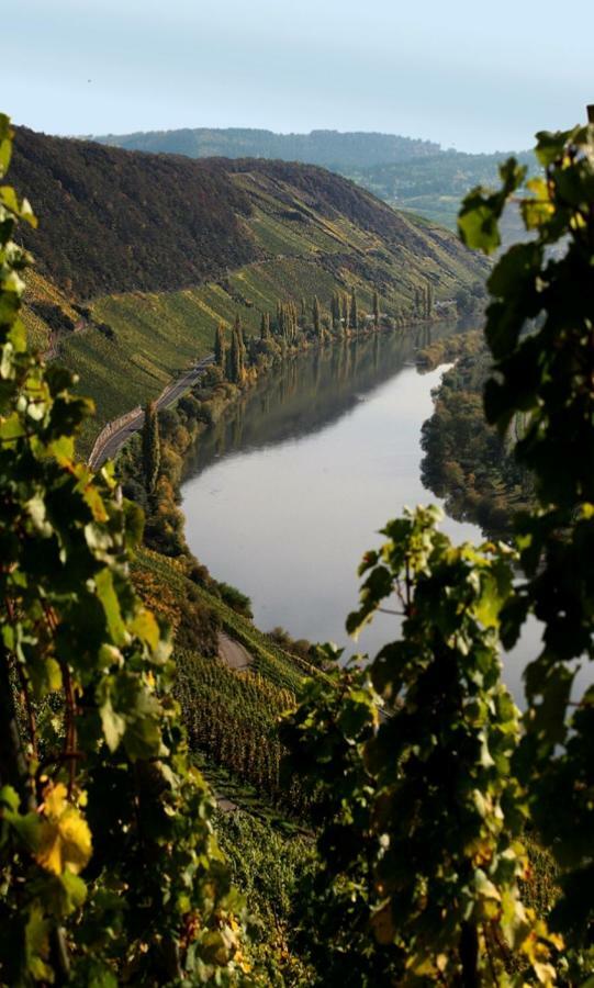 فندق Weingut Berweiler Klusserath المظهر الخارجي الصورة